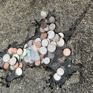 The viral ‘Chicago Rat Hole’ wasn’t actually made by a rat, scientists claim