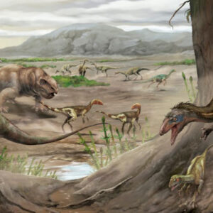 New Species of Triassic Carnivorous Dinosaur Identified in Argentina
