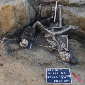 Skeleton-filled well in Croatia likely holds remains of Roman soldiers, study finds
