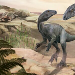 Paleontologists Discover New Species of Triassic Long-Necked Dinosaur