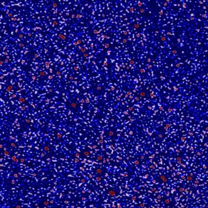 Astronomers close in on ancient signal from ‘one of the most unexplored periods in our universe’