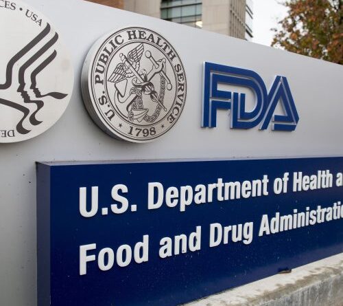 FDA slows down on drug reviews, approvals amid Trump admin chaos