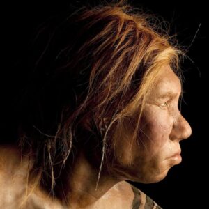Neanderthals were more susceptible to lead poisoning than humans — which helped us gain an advantage over our cousins, scientists say