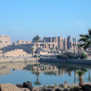 Research roundup: 6 cool science stories we almost missed