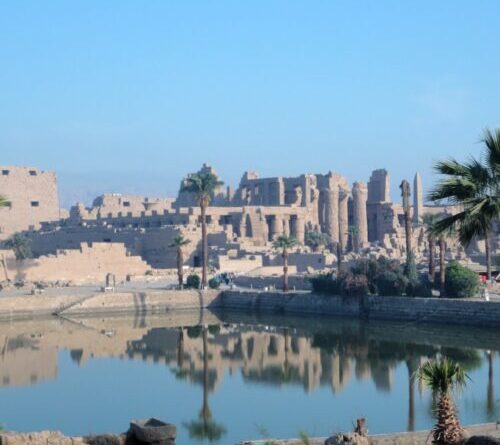 Research roundup: 6 cool science stories we almost missed