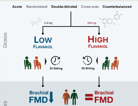 Study: Flavanol-Rich Foods Protect Vascular Health in Men from Harmful Effects of Prolonged Sitting