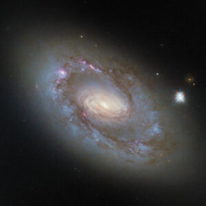 Hubble Space Telescope Snaps New Image of NGC 4102