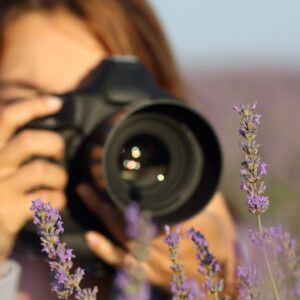 5 common mistakes beginner macro photographers make — and how to avoid them