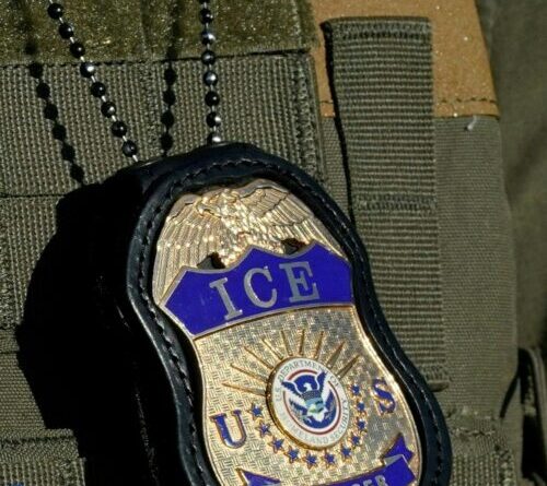 US gives local police a face-scanning app similar to one used by ICE agents