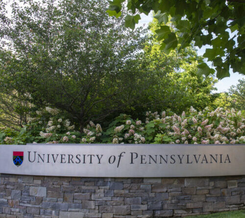 Musk and Trump both went to Penn—now hacked by someone sympathetic to their cause