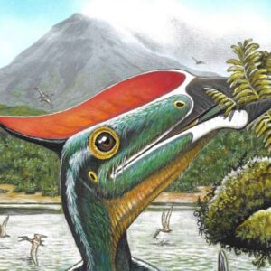 Fossil Offers First Known Evidence of Pterosaur Herbivory
