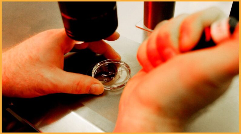 Restrictions on fetal tissue research would threaten progress on breakthrough treatments for devastating diseases — and yet not prevent a single abortion