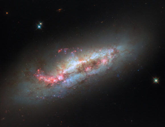 Hubble Sees Peculiar Spiral Galaxy: NGC 1511