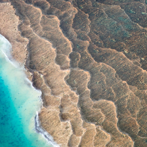 Breakup of ancient supercontinent Nuna created ‘incubators’ for complex life, study finds