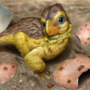 Dinosaur Eggshells Help Paleontologists Determine Age of Fossil-Bearing Rocks