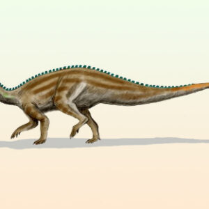 New Fossils from West Texas Extend Known Range of Tenontosaurus