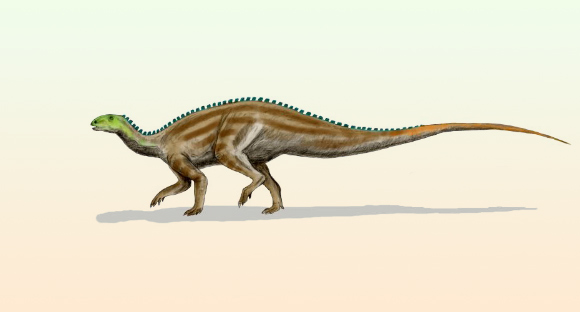 New Fossils from West Texas Extend Known Range of Tenontosaurus