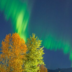 Strongest solar flare of 2025 erupts — and it could bring auroras to half the US on Wednesday