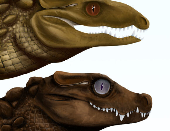 55-Million-Year-Old Crocodile Eggshells Found in Australia