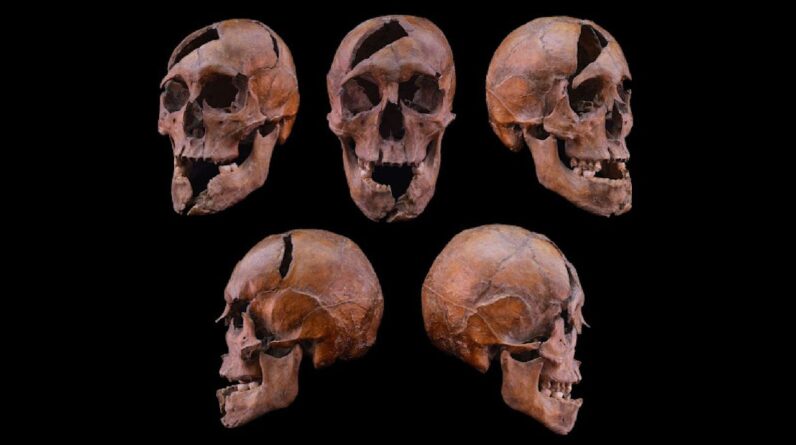 Medieval Hungarian duke was murdered in a brutal and coordinated attack, forensic analysis reveals