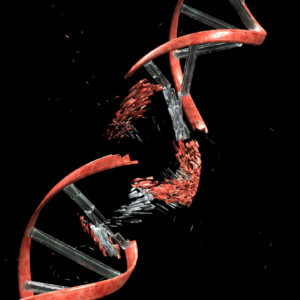 CTE may stem from rampant inflammation and DNA damage