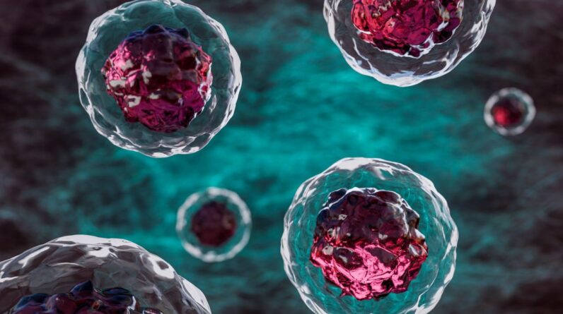 Slaying ‘zombie cells’ in blood vessels could be key to treating diabetes, early study finds