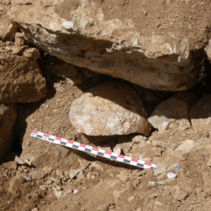 Archaeologists discover decapitated head the Romans used as a warning to the Celts