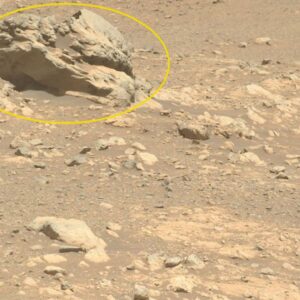 Odd-looking rock on Mars is totally alien to the Red Planet, Perseverance rover finds