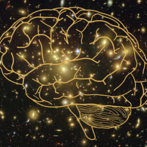 There Are Three Types of Phenomenal Consciousness, Researchers Say