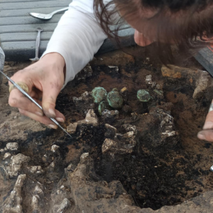 2,000-year-old gold ring holds clue about lavish cremation burial unearthed in France