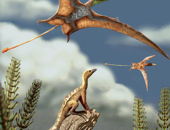 New Study Reveals How Pterosaurs Evolved Flight-Ready Brain