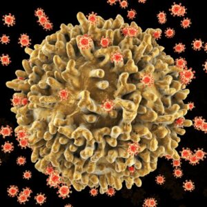 Achieving lasting remission for HIV
