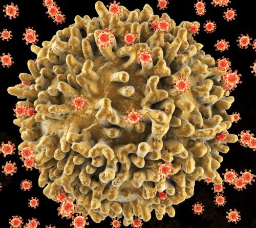 Achieving lasting remission for HIV