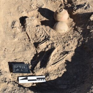 ‘We do not know of a similar case’: 4,000-year-old burial in little-known African kingdom mystifies archaeologists