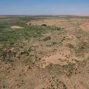China has planted so many trees it’s changed the entire country’s water distribution