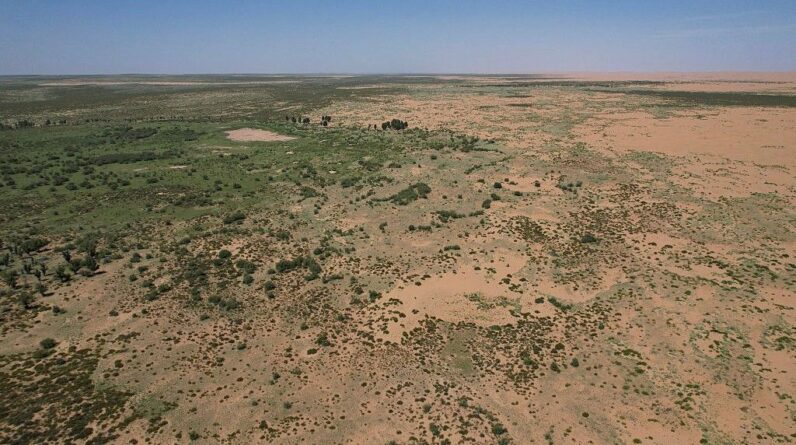 China has planted so many trees it’s changed the entire country’s water distribution