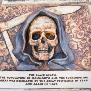 Volcanic eruption triggered ‘butterfly effect’ that led to the Black Death, researchers find