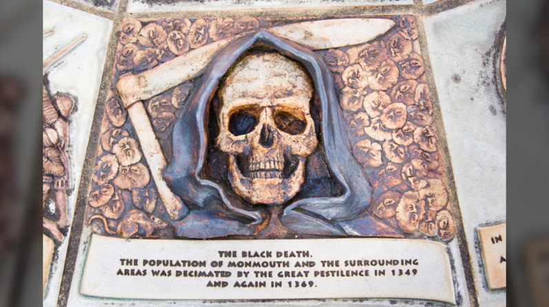 Volcanic eruption triggered ‘butterfly effect’ that led to the Black Death, researchers find