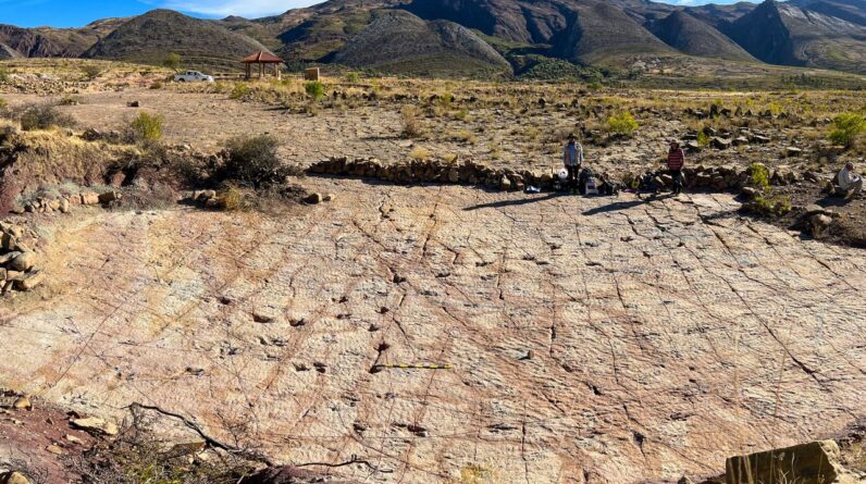 18,000 dinosaur tracks discovered along ancient Bolivian coastline — and they set a new record