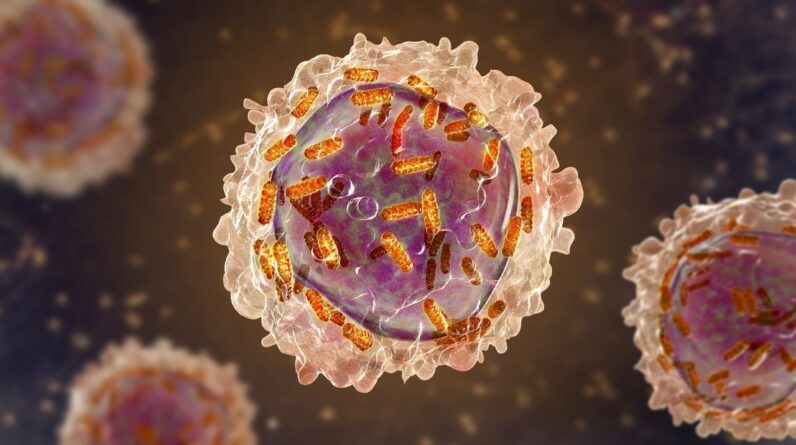 Science history: Female chemist initially barred from research helps helps develop drug for remarkable-but-short-lived recovery in children with leukemia — Dec. 6, 1954