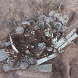 2,400-year-old ‘sacrificial complex’ uncovered in Russia is the richest site of its kind ever discovered