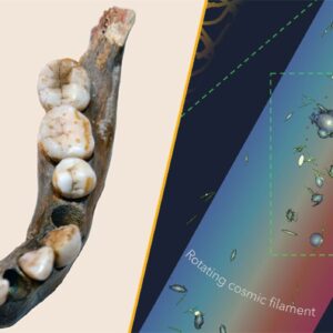 Science news this week: A human population isolated for 100,000 years, the biggest spinning structure in the universe, and a pit full of skulls