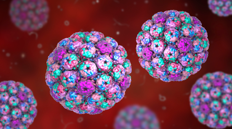 Widespread cold virus you’ve never heard of may play key role in bladder cancer