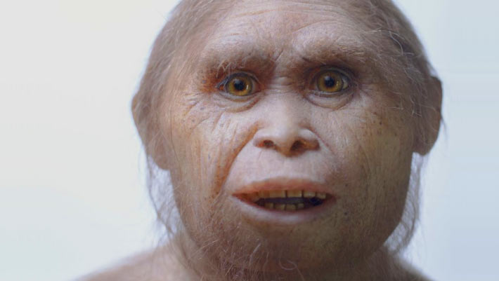 Climate Change Played Key Role in Extinction of Homo floresiensis