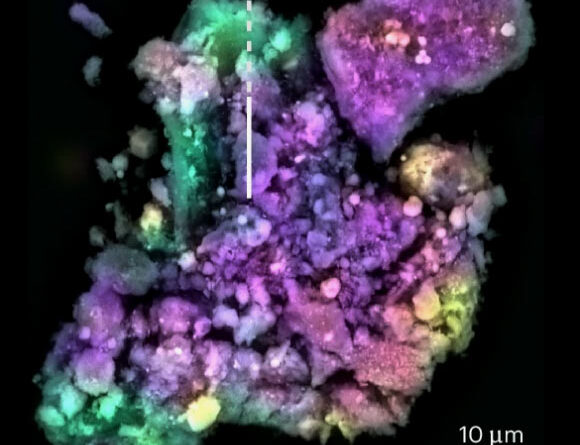 Gum-Like Substance Found in Samples from Asteroid Bennu