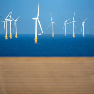 Court: “Because Trump said to” may not be a legally valid defense