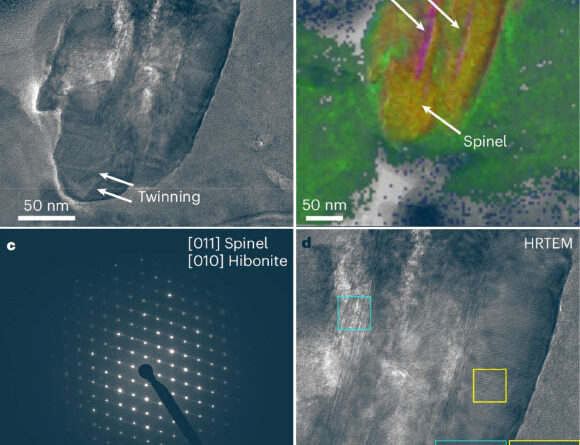Scientists Find Presolar Stardust in Samples from Asteroid Bennu
