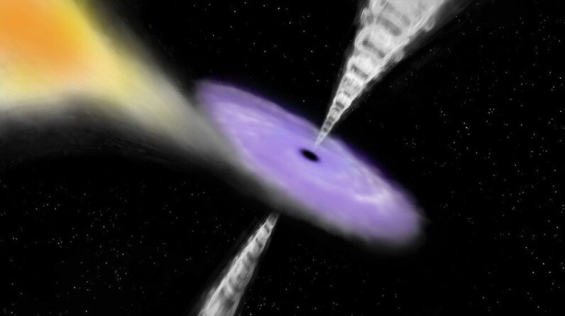 Mysterious X-ray signal from deep space may be the scream of a star ripped apart by two black holes