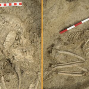 Brutal lion attack 6,200 years ago severely injured teenager — but somehow he survived, skeleton found in Bulgaria reveals