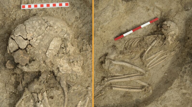 Brutal lion attack 6,200 years ago severely injured teenager — but somehow he survived, skeleton found in Bulgaria reveals